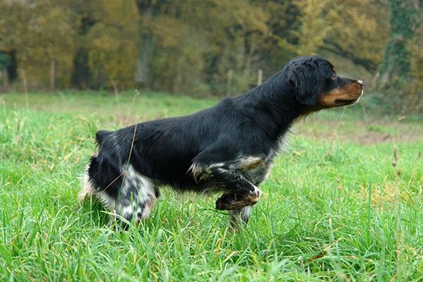 22fa7981-83a0-4ba4-ab50-2806bae65dbc-pic 3-622-480 - 