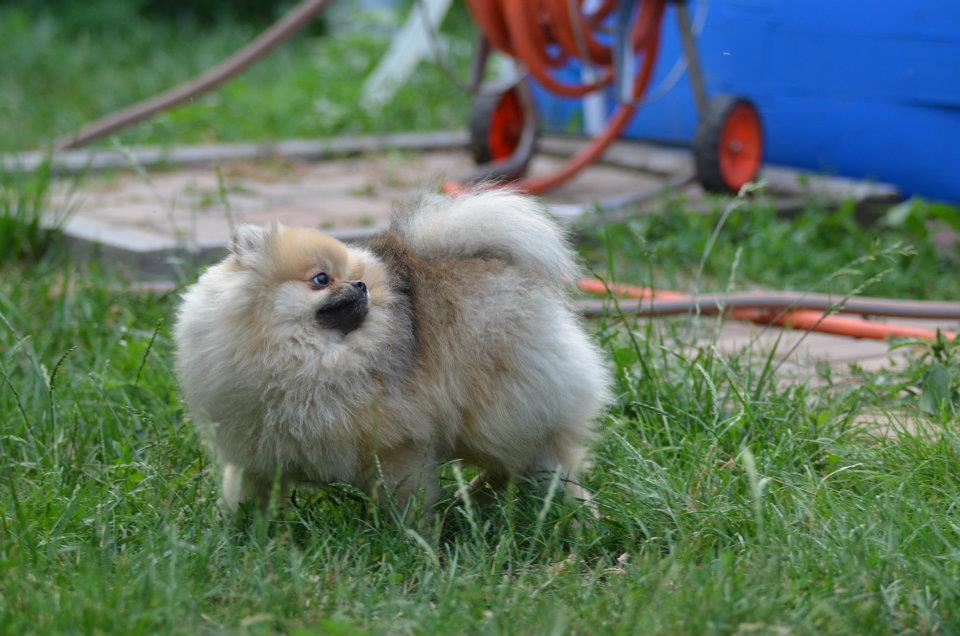 166073 485737061441729 815517458 n - 