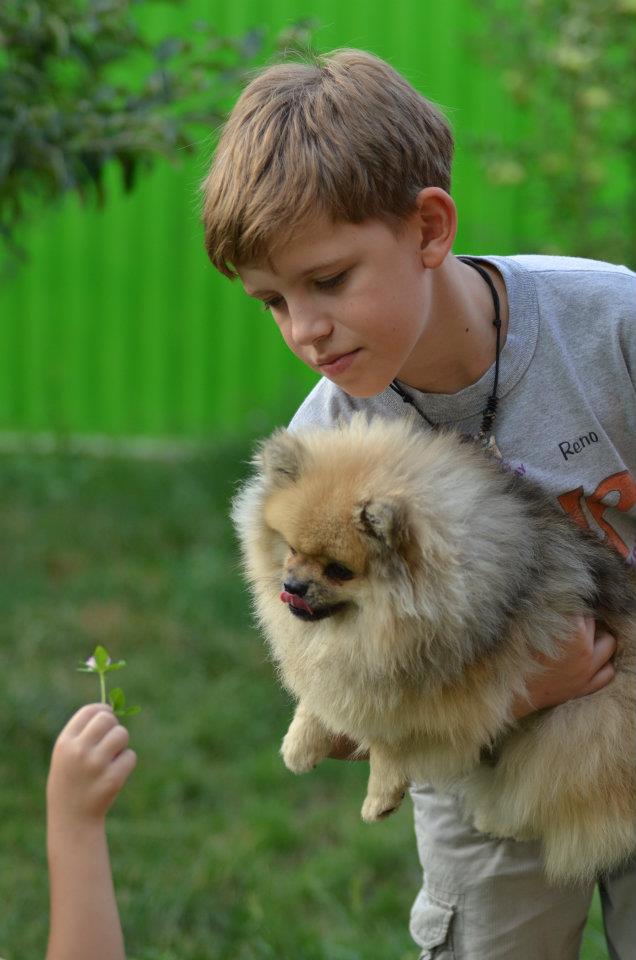 396920 485735938108508 1484171539 n - 