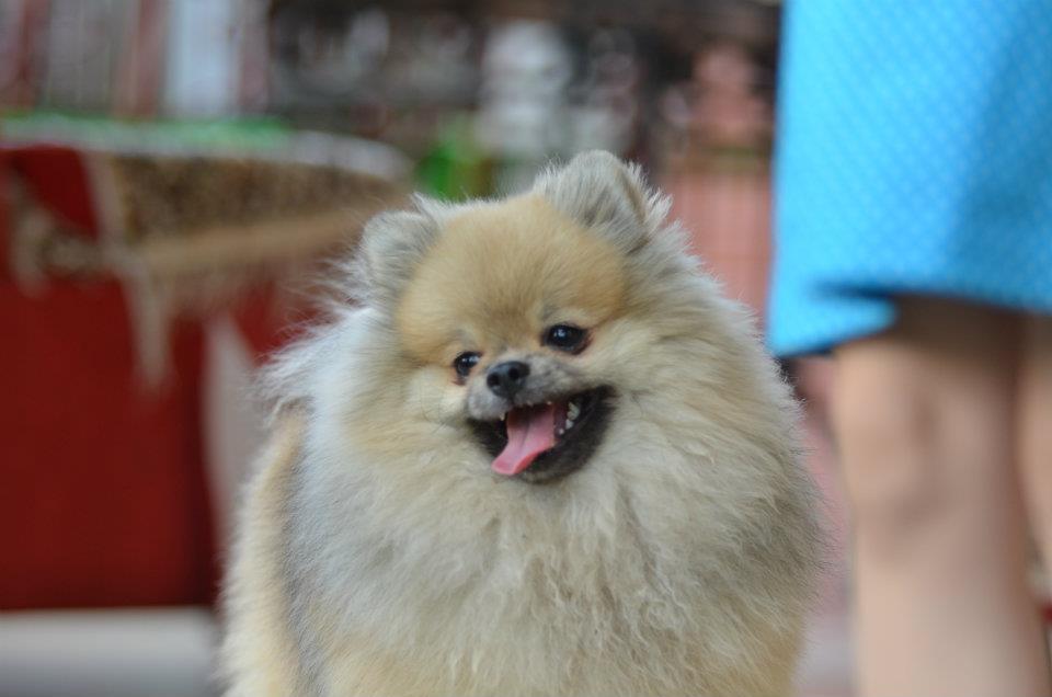 548657 485736368108465 1616327308 n - 