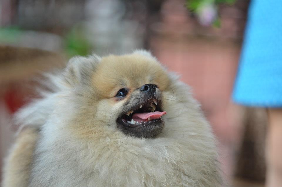 564150 485736488108453 891377164 n - 