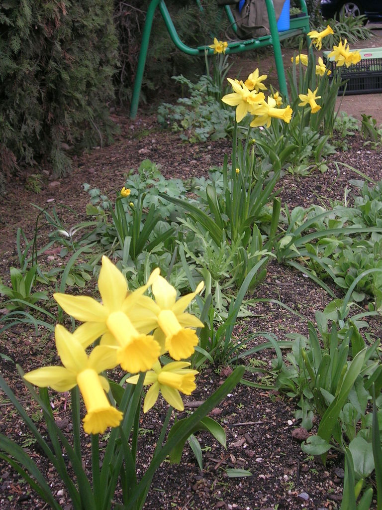 3-7-13 Peeping Tom 1 - 