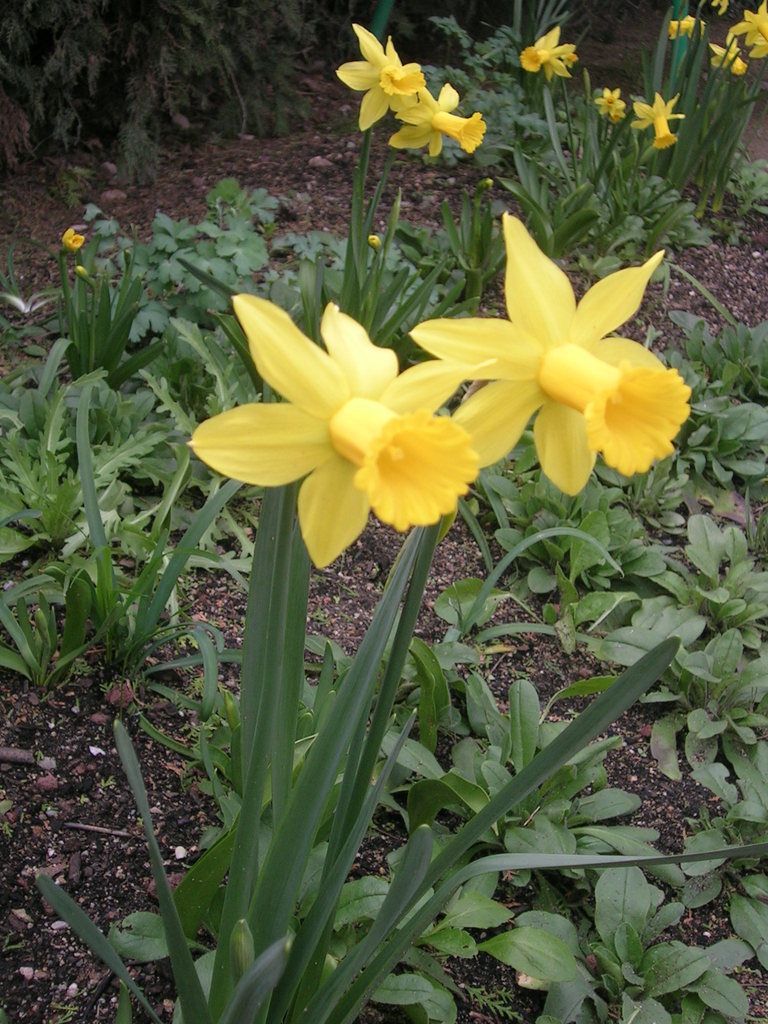 3-7-13 Peeping Tom 2 - 