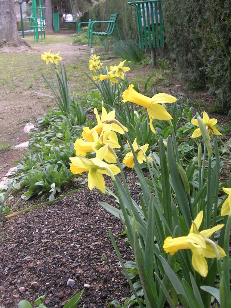 3-7-13 Peeping Tom 3 - 