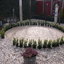 Tuin - Haag rond 't Rietple... - Garden construction of 't Riet-square 06-02-13