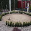 Tuin - Haag rond 't Rietple... - Garden construction of 't Riet-square 06-02-13