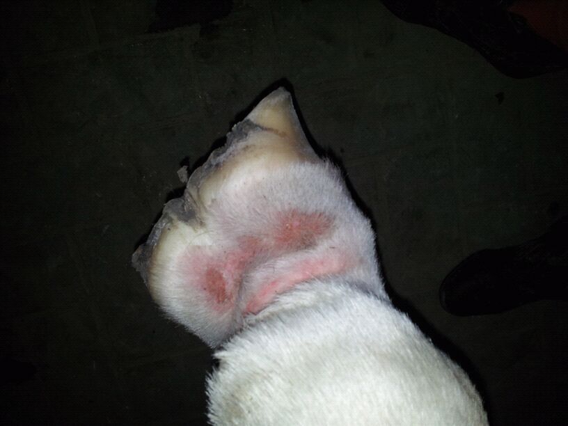 IMG-20121005-WA0002 - 