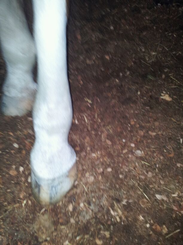 IMG-20121026-WA0002 - 