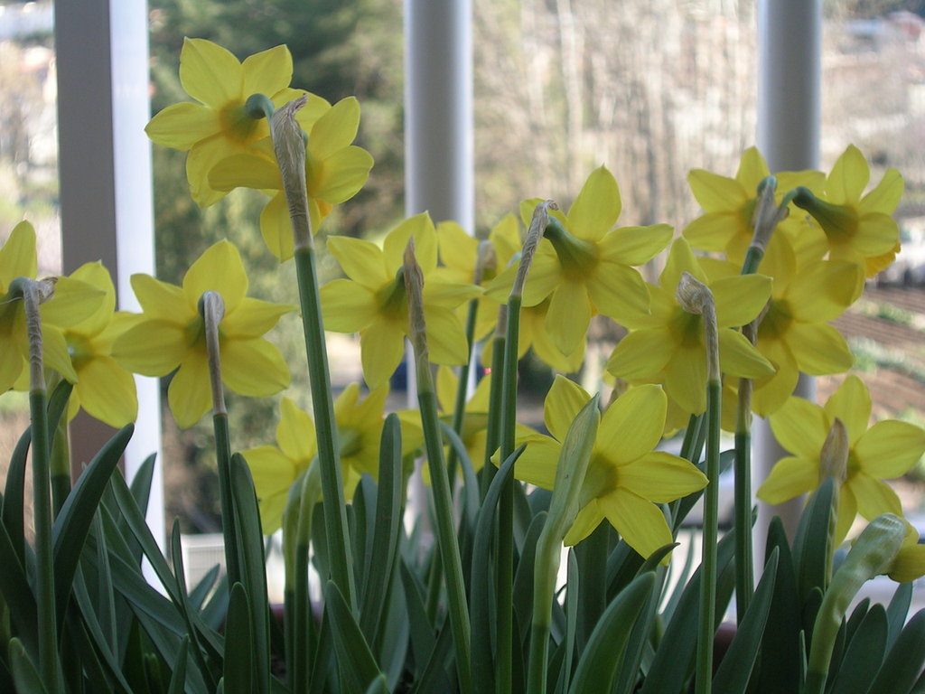 3-8-13 TÃ¨te-a-tÃ¨te 2 - 