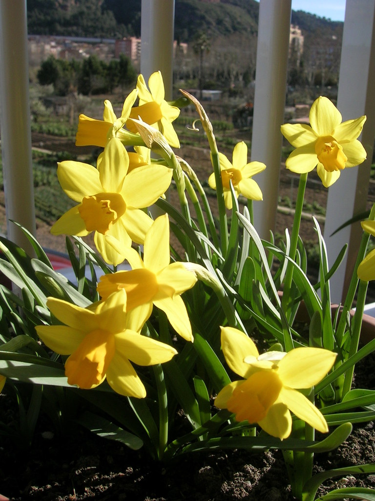 3-8-13 TÃ¨te-a-tÃ¨te 6 - 