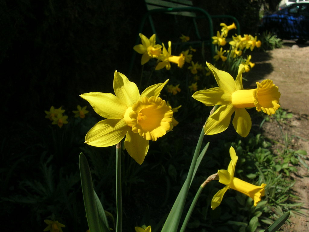 3-11 Peeping Tom + tÃ¨te-a-tÃ¨te - 