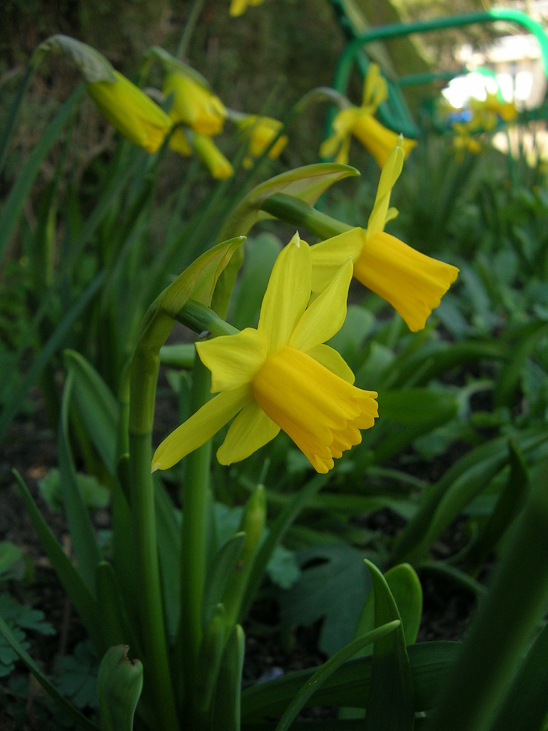 3-11 tÃ¨te-a-tÃ¨te - 