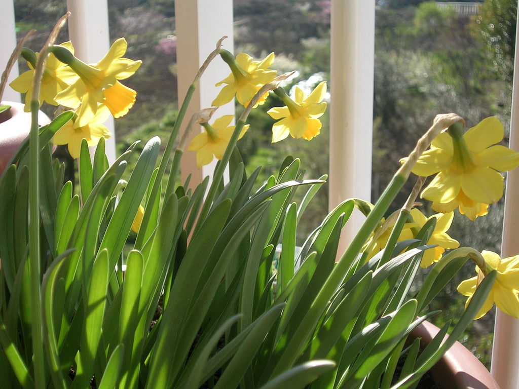 15-3 tÃ¨te-a-tÃ¨te 1 - 