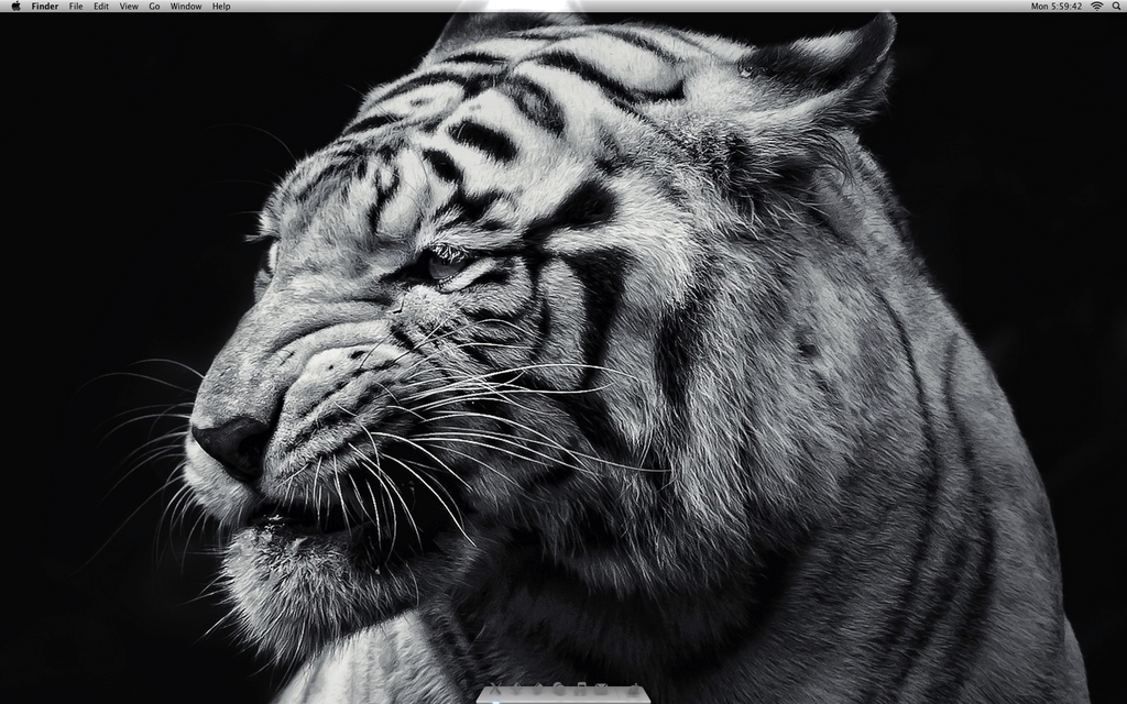 Screen Shot 2013-03-18 at 5.59.42 AM copy - 