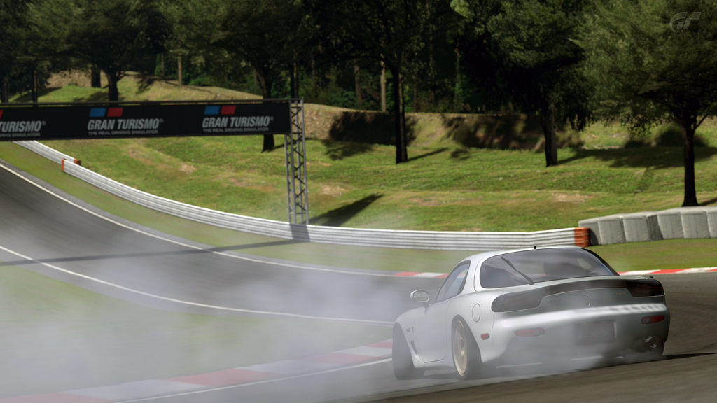 Deep Forest Raceway 2 - 