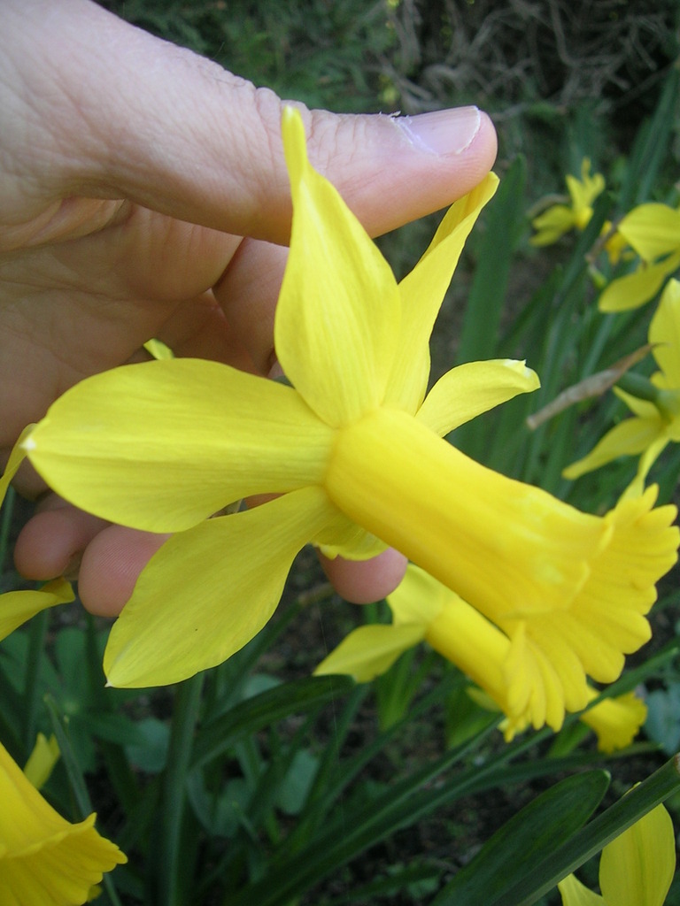 3-19 Peeping Tom 2 - 