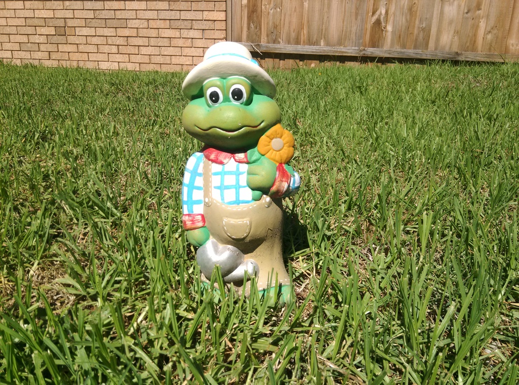 IMG20130319124901887 - 