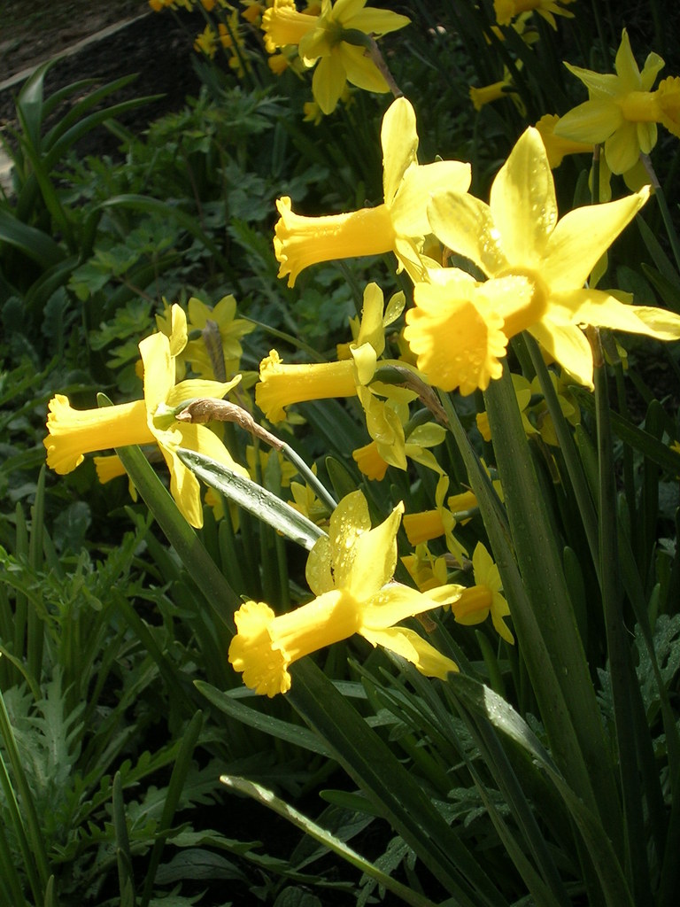 3-22 Peeping Tom 6 - 