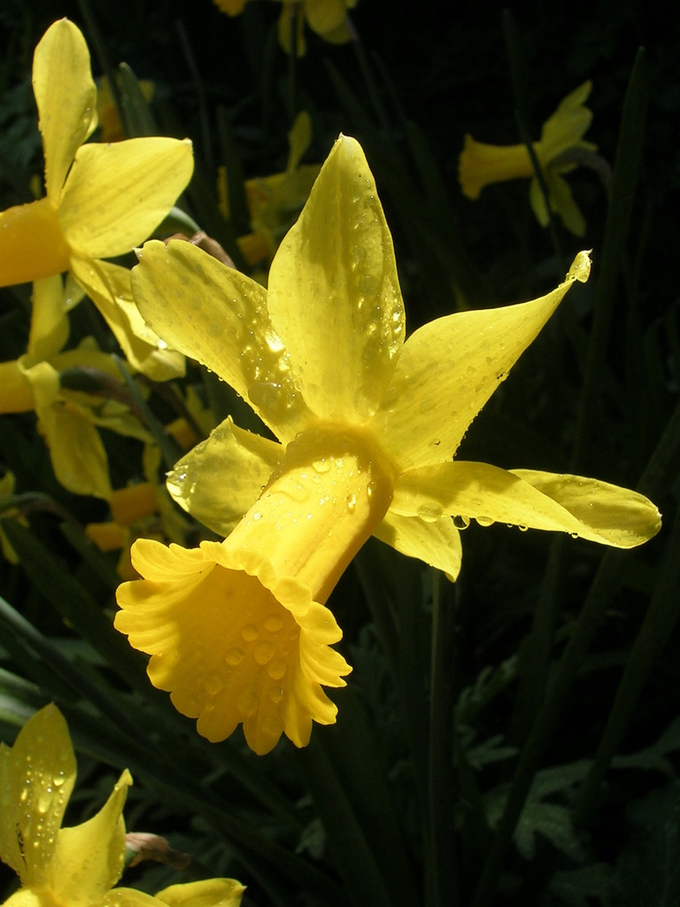 3-22 Peeping Tom 7 - 