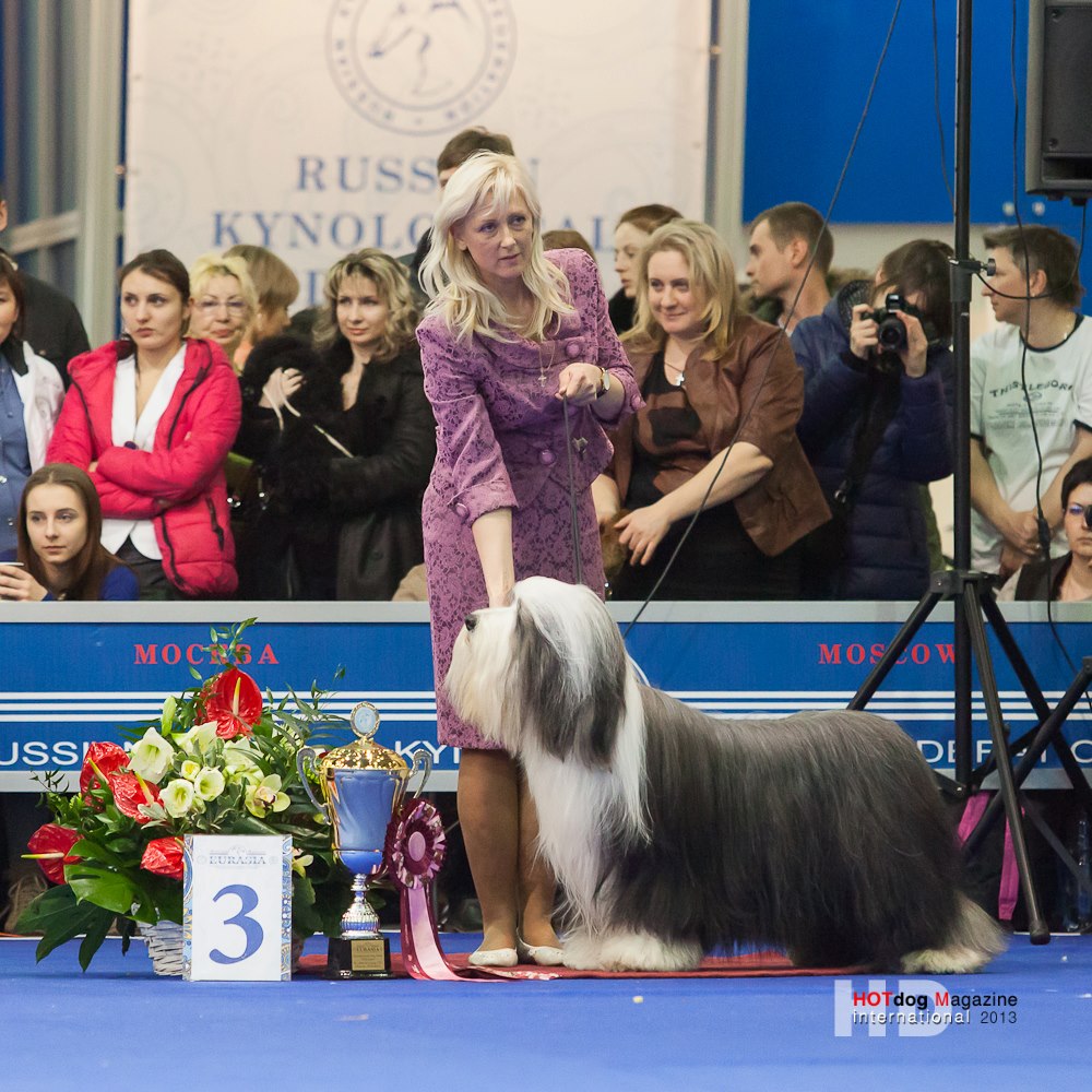 903593 3959594526854 310860905 o - 