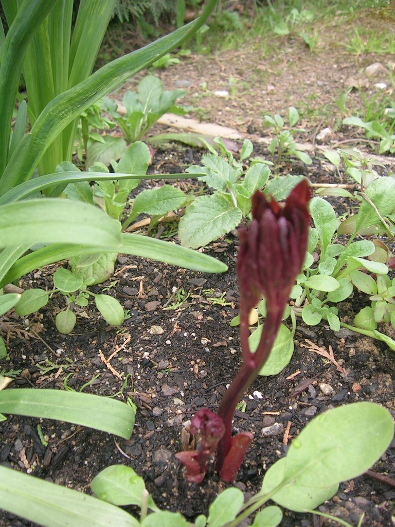 3-24 Sense identificar - 