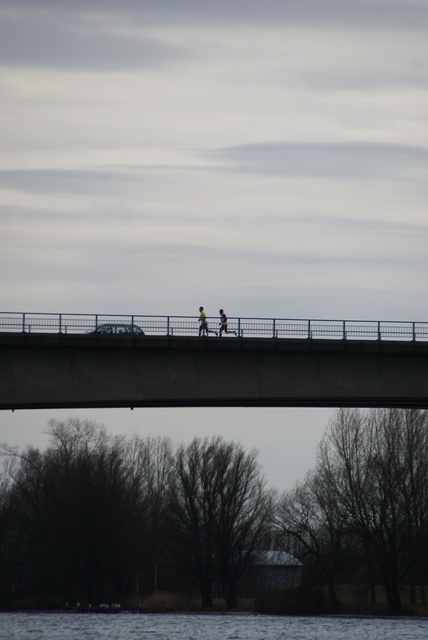 DSC07748 Brielse Maasloop 24-3-2013