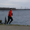 DSC07845 - Brielse Maasloop 24-3-2013