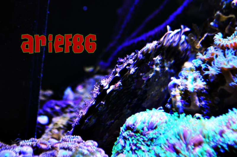 fts 27 f - 