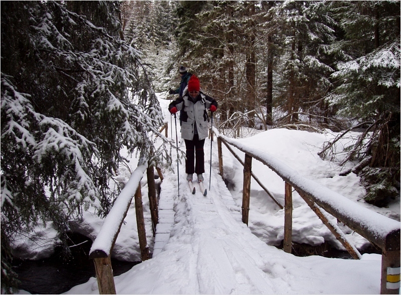 1-P3194371-marzec 2005 - 