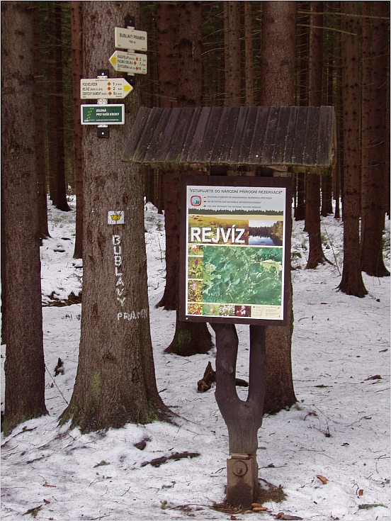 5-P1252073-styczeÅ„2009 - 