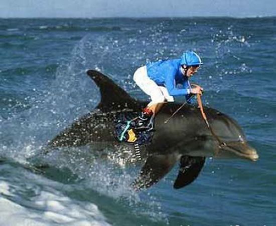  Î¬Î¸Î»Î·Î¼Î± - 