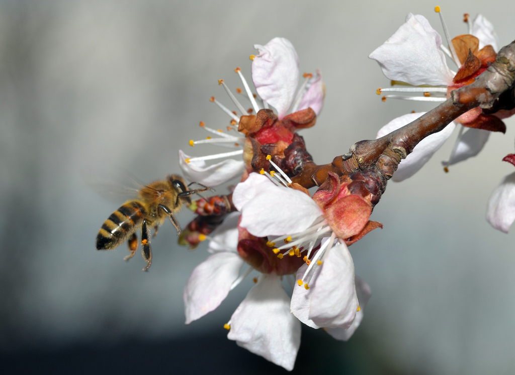 8606786113 d97a19fa67 h - 