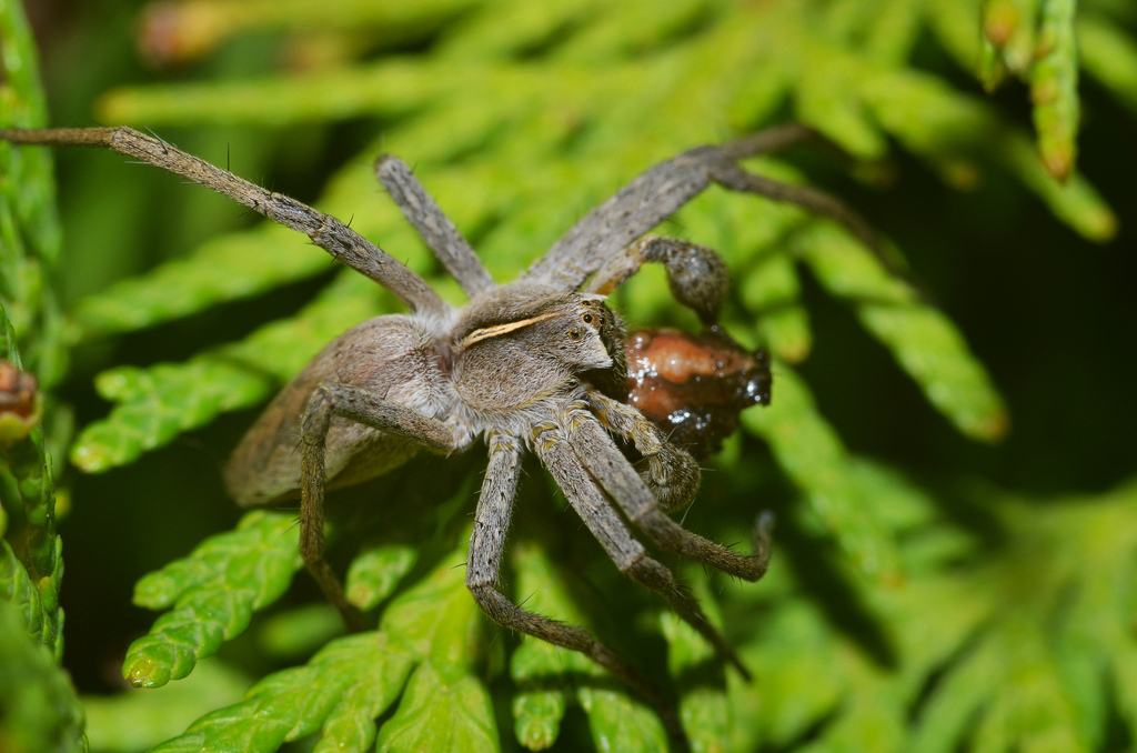 8607963158 ac2cb1932f k - 