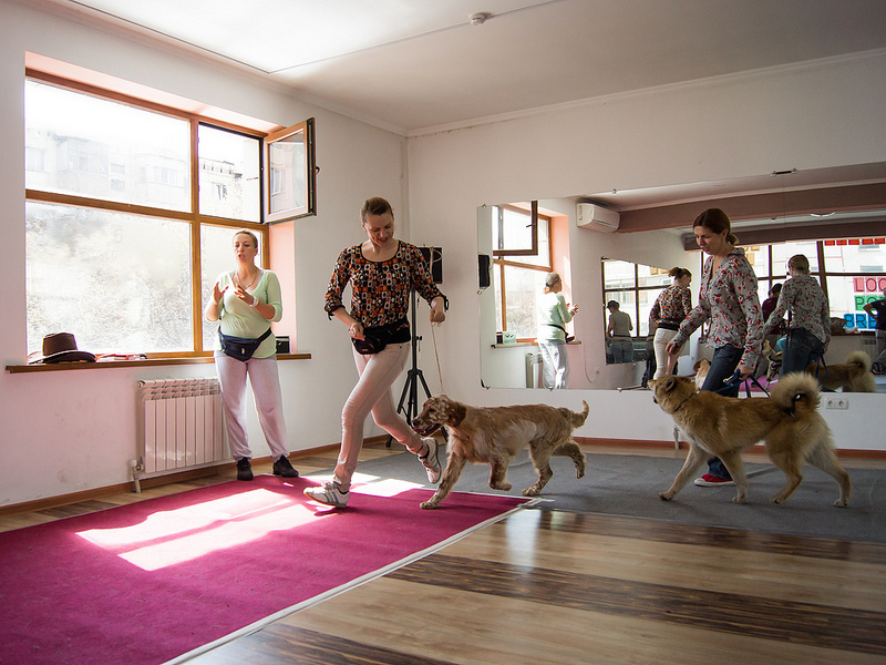 8611571131 62e1d6ba01 c - 