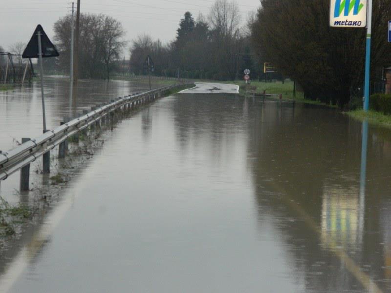 155713 10200473710436766 1493356788 n - 