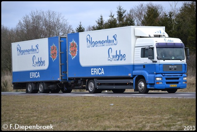 BR-HD-38 MAN TGA Bloemenhuis Lubbe Erica NL-Border Rijdende auto's