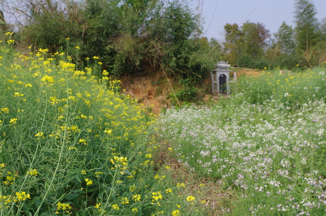  Jiangxi (æ±Ÿè¥¿)