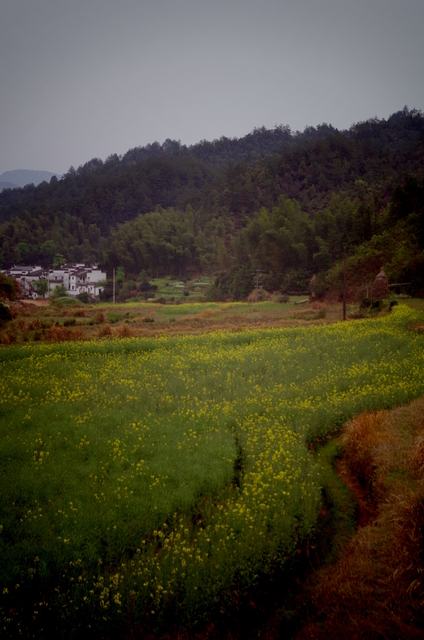  Jiangxi (æ±Ÿè¥¿)