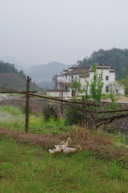  Jiangxi (æ±Ÿè¥¿)