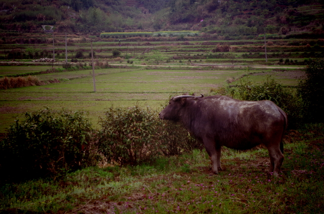  Jiangxi (æ±Ÿè¥¿)