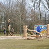 Kunstproject houtsnijwerk park Presikhaaf 2013