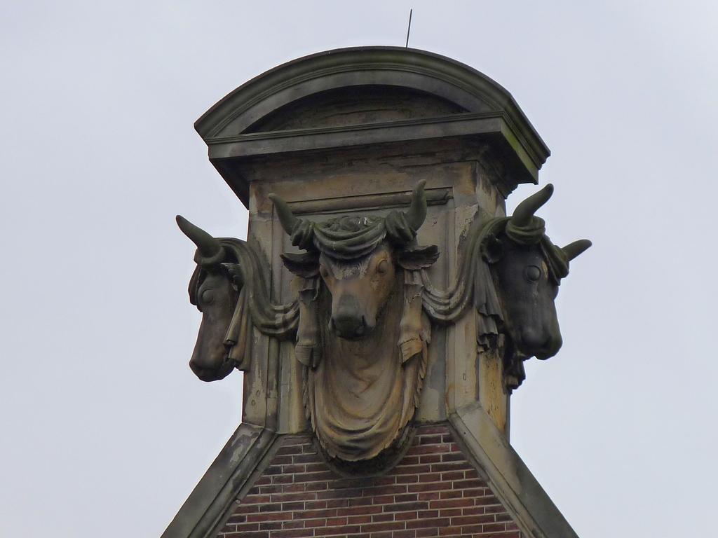 P1020423 - Amsterdam winter