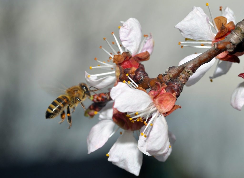 8606786113 9fd4e5e987 k - 