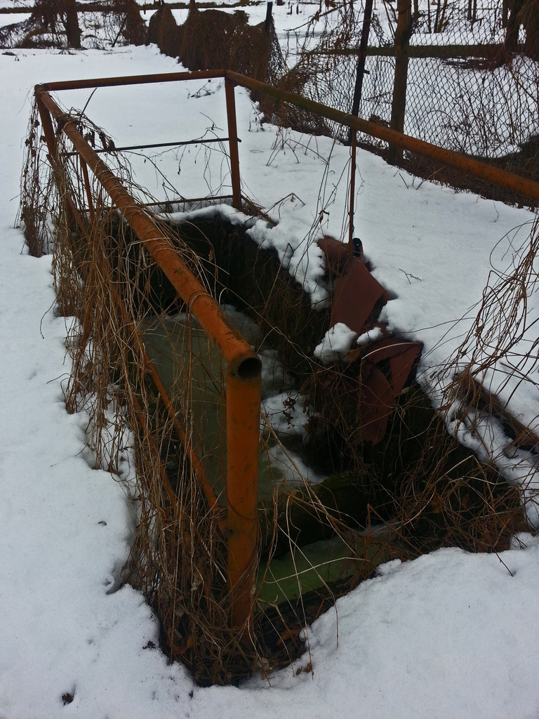 524415 229454923862926 558319076 n - 