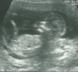 Screen Shot 2013-04-14 at 10.02.22 PM - 