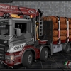 TSLâ„¢ Scania P460 8x4 1 - TSLâ„¢ HOLZ Transport