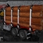 TSL™ Scania P460 8x4 2 - TSL™ HOLZ Transport