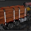 TSLâ„¢ Scania P460 8x4 3 - TSLâ„¢ HOLZ Transport