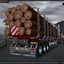 gts 00197 - TSLâ„¢ HOLZ Transport