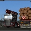 gts 00204 - TSLâ„¢ HOLZ Transport